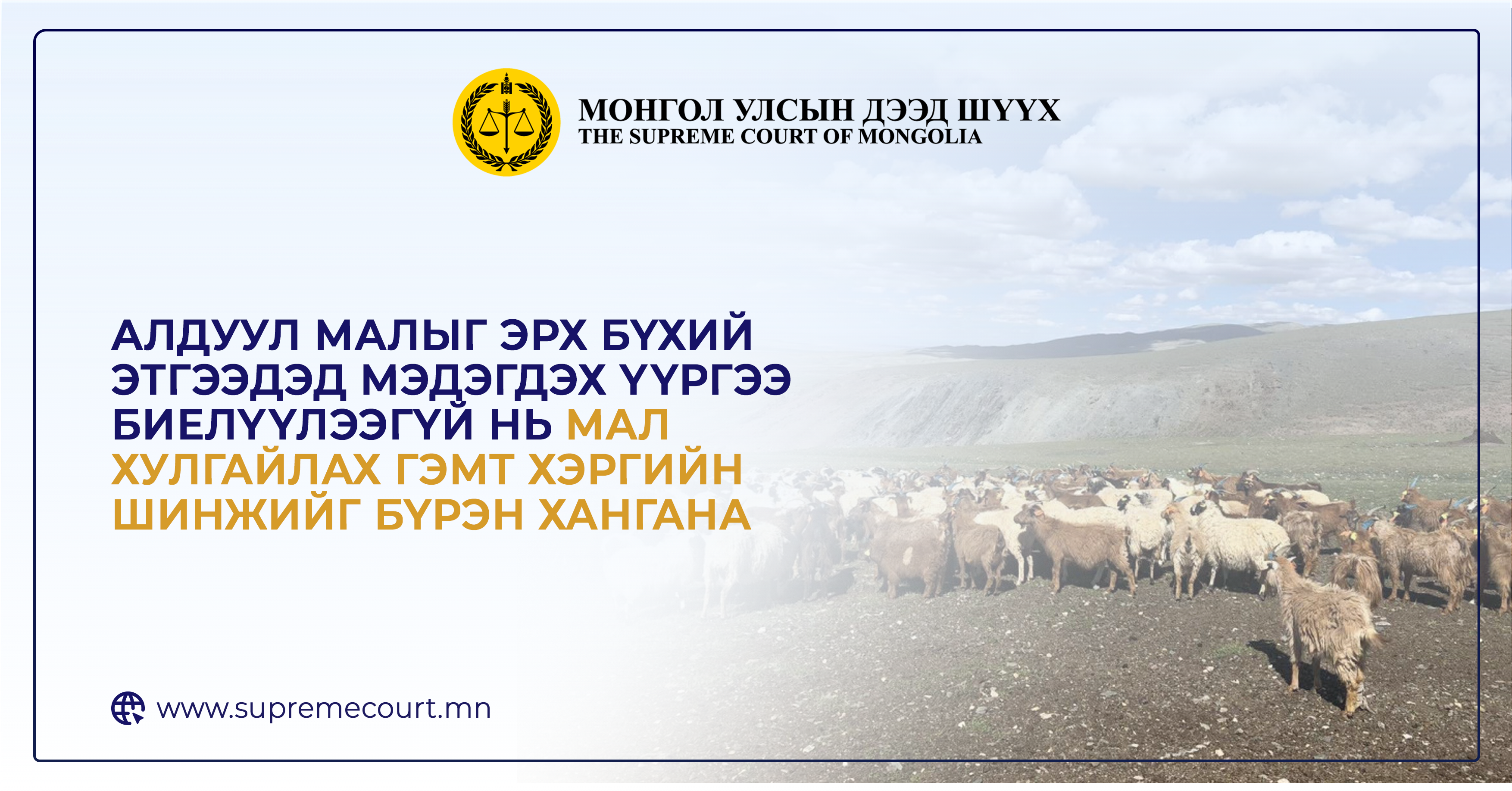 Алдуул малыг эрх бүхий этгээдэд мэдэгдэх үүргээ биелүүлээгүй нь мал хулгайлах гэмт хэргийн шинжийг бүрэн хангана